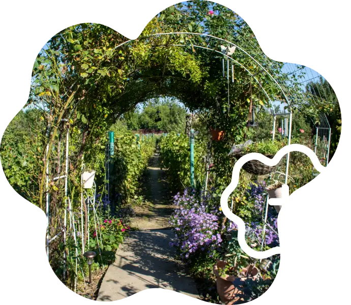 Gartenbaubetriebe Weg in Garten