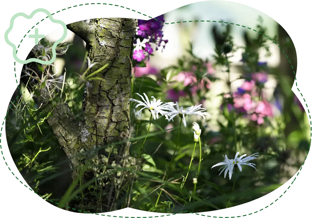 Klimafreundlicher Garten